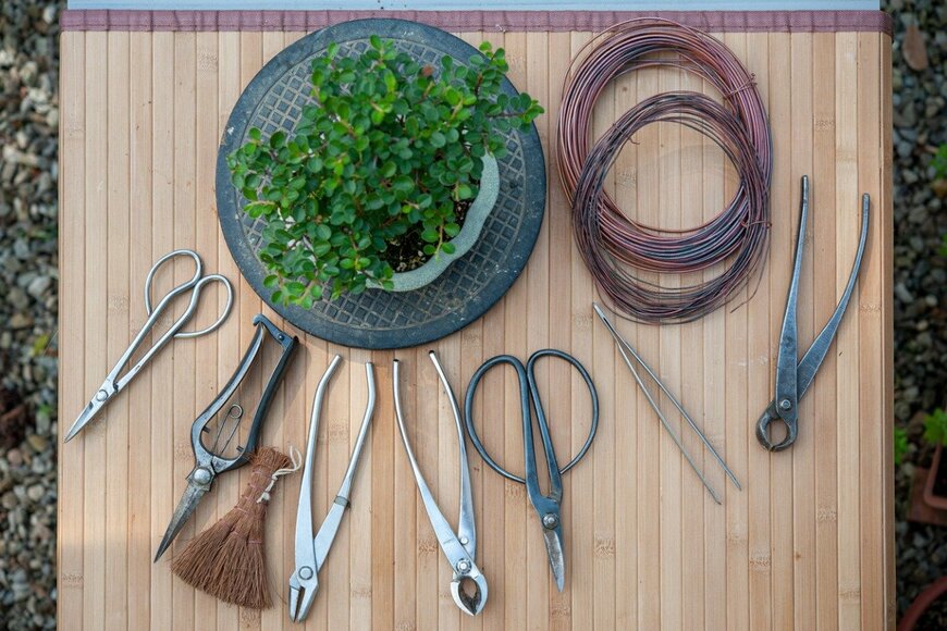 Zummolo/istockphoto.com