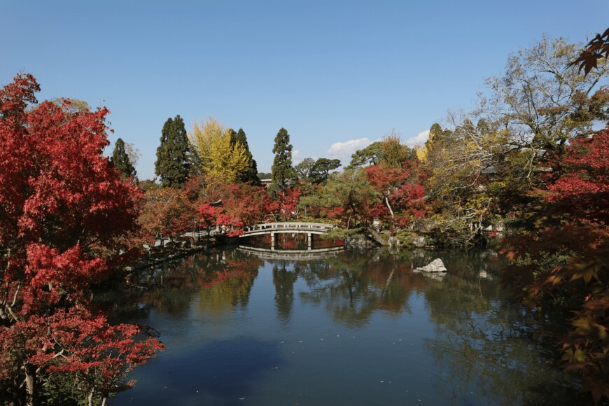 shutterstock.com/blueday