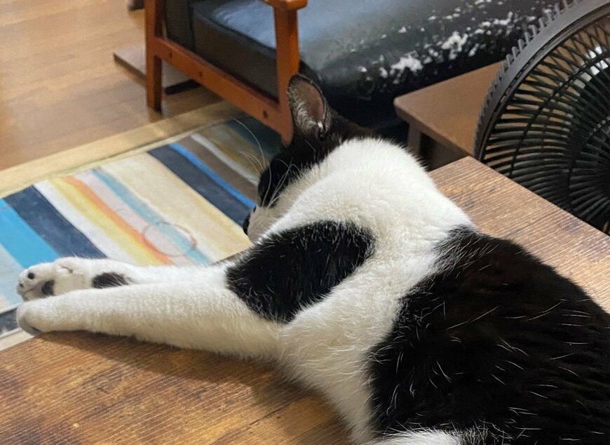 出所：@00shitemita