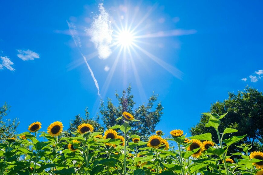 rammy2rammy/istockphoto.com