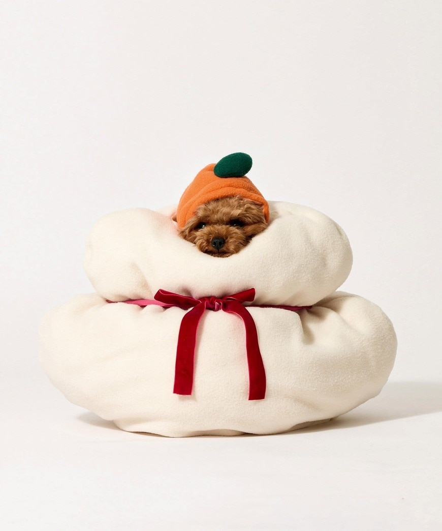 画像出所：PAL CLOSETオンラインストア