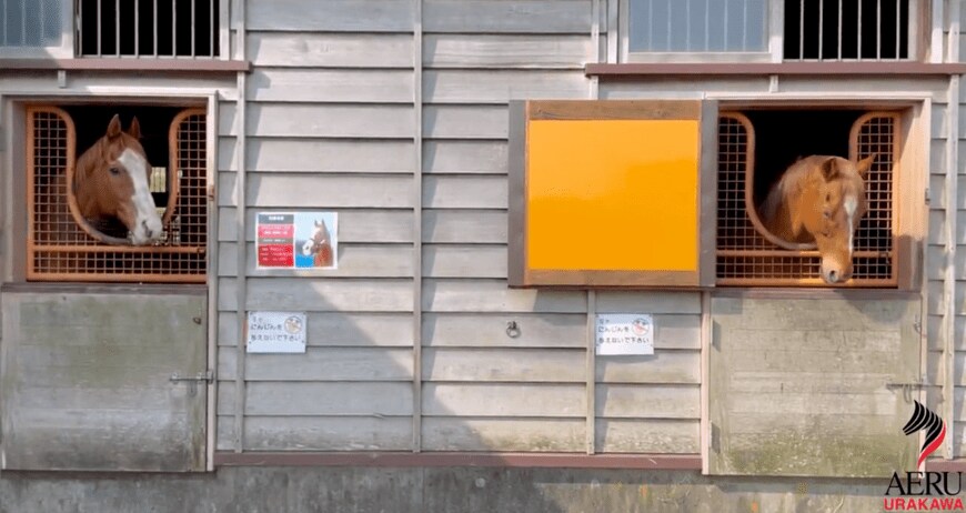 出所：うらかわ優駿ビレッジAERU