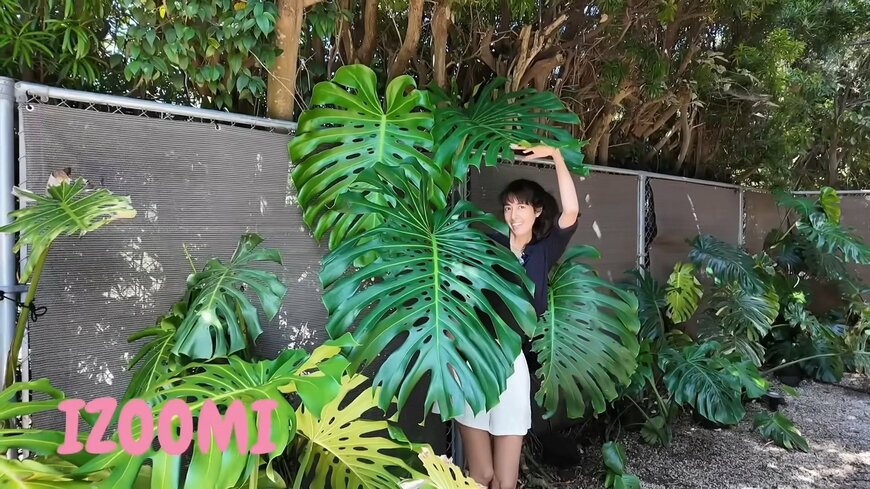 森泉のYouTube動画のスクリーンショット