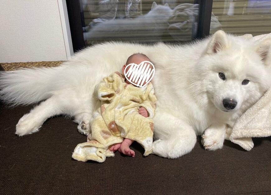 赤ちゃんと初めて撮影した写真