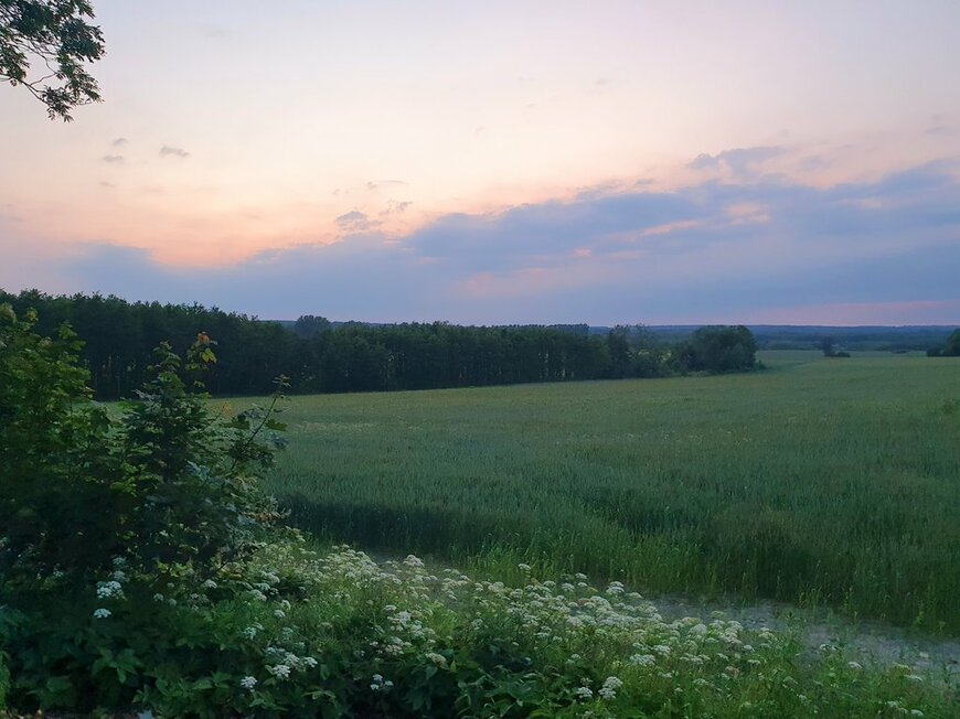 スウェーデンの夏至の日22時半の空