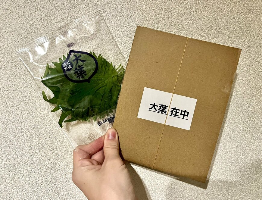 大葉とネットスーパーの包装