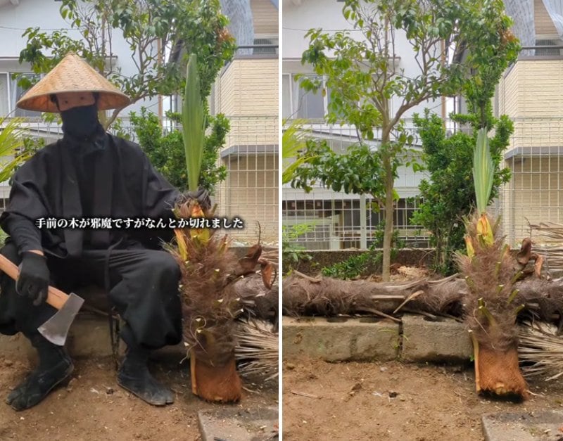 投稿の画像