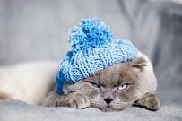 60歳代「貯蓄2000万円」の割合とは？年金「平均年200万円」では生活厳しいか