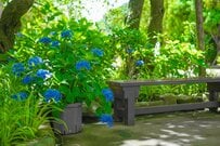 【厚生年金】月額15万円のはずなのに「振込額が少ない理由とは」シニアが落胆する老齢年金の盲点　