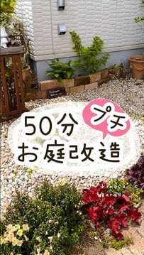たった50分でお庭をプチ改造！【置くだけ＆並べるだけ】簡単作業で大変身の「ビフォーアフター」