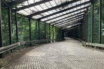長野県で「異空間みたいなヘアピンカーブ」に遭遇　緑に覆われた道路に「ジュラシックパークみたい」