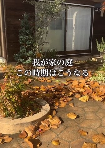 セリアの商品を使ったDIY