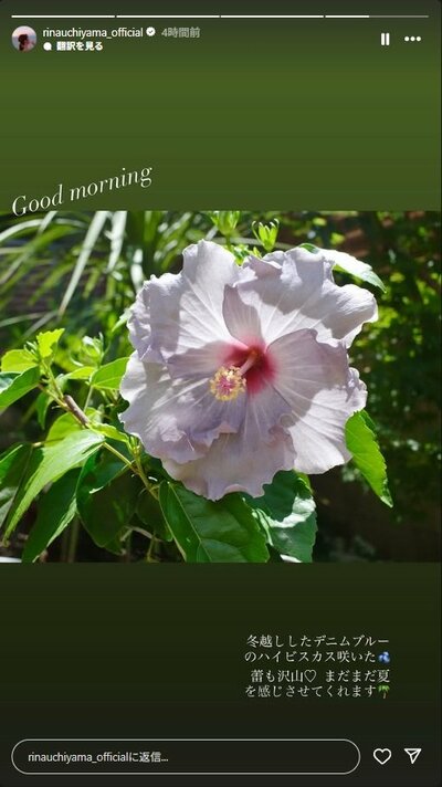 内山理名のInstagramストーリーズ投稿