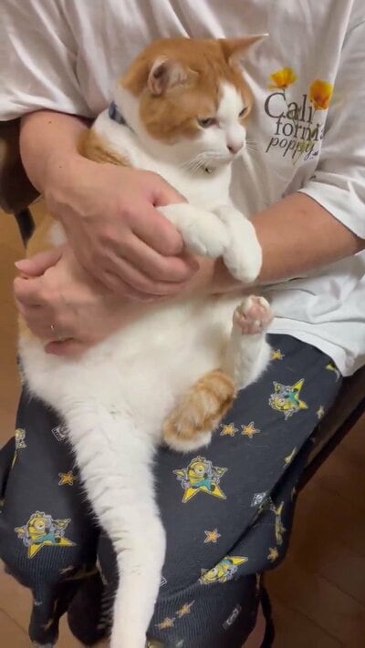 目を細めるふうたくん