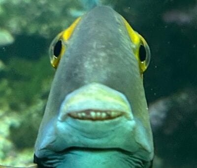 投稿の画像