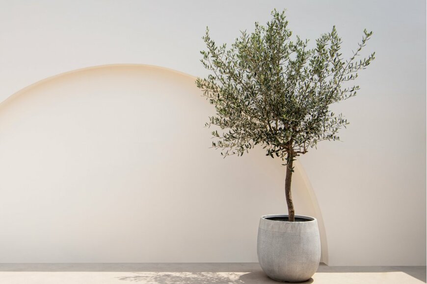 Rawpixel.com/shutterstock.com