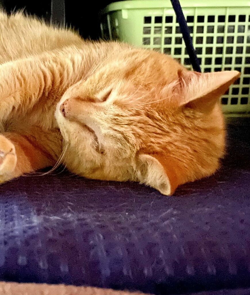 出所：@luna7taka9