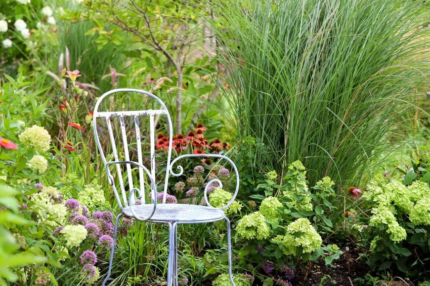 Molly Shannon/Shutterstock.com