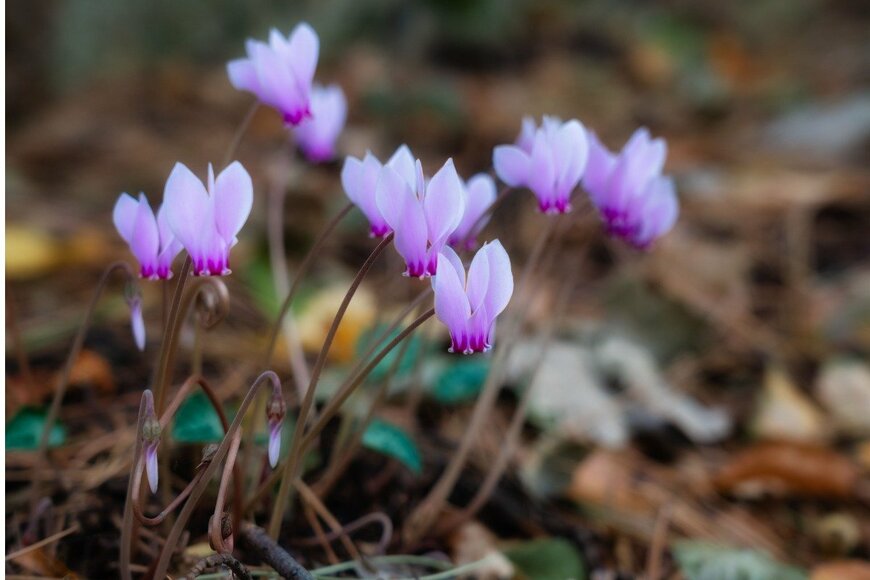 Wirestock/istockphoto.com