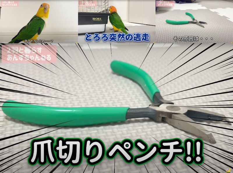 出所：@anz_omomiri