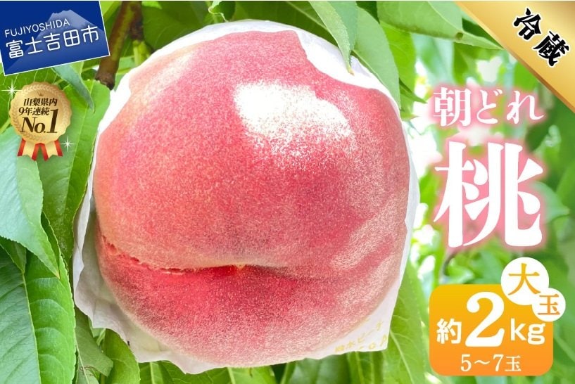 出所：ふるさとチョイス「山梨の朝どれ桃2kg　大玉5玉～7玉　山梨県富士吉田市」