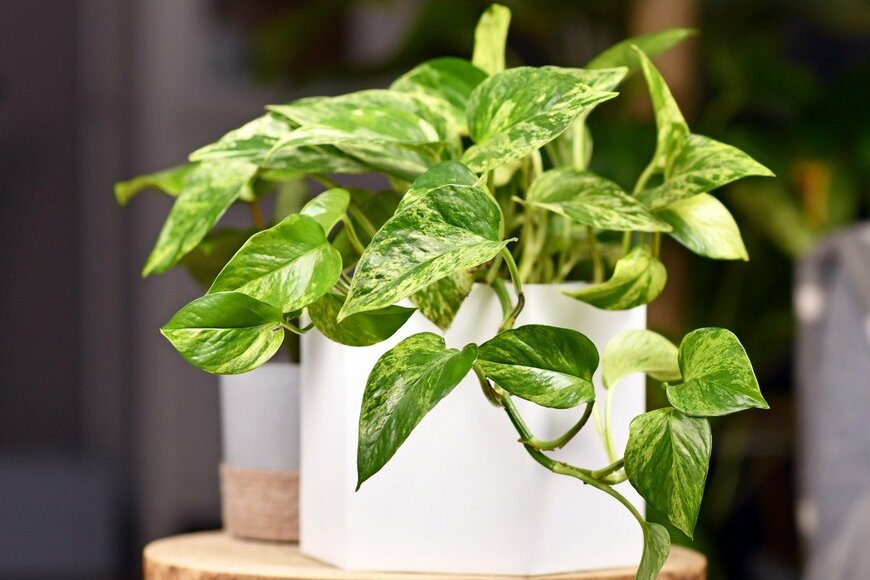 Firn/istockphoto.com