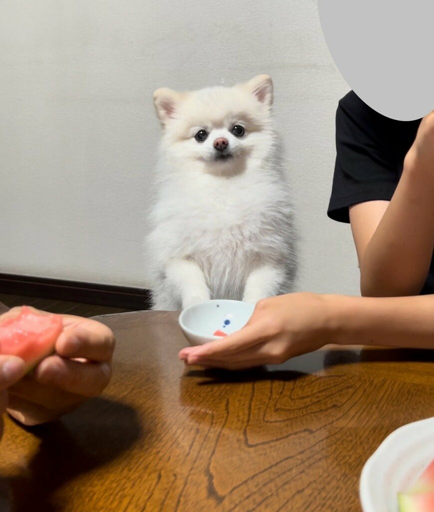 食卓を囲むなか、不満げな顔をする犬さん　かわいい理由にホッコリする人が続出