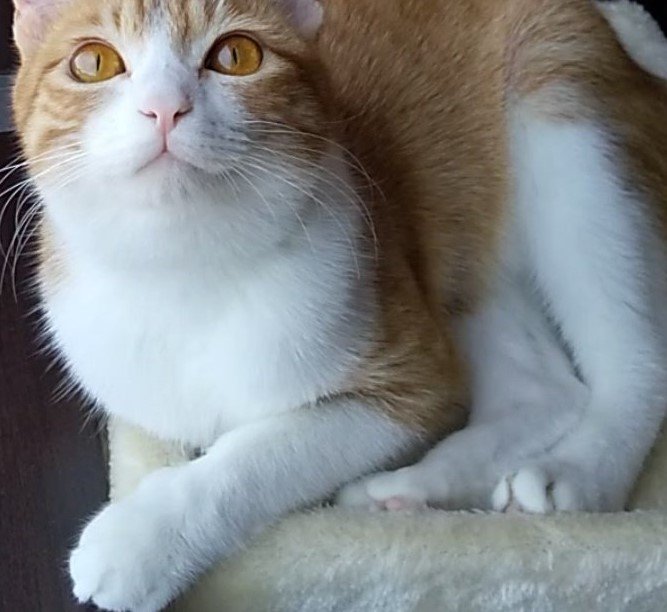 出所：@mero627puri914