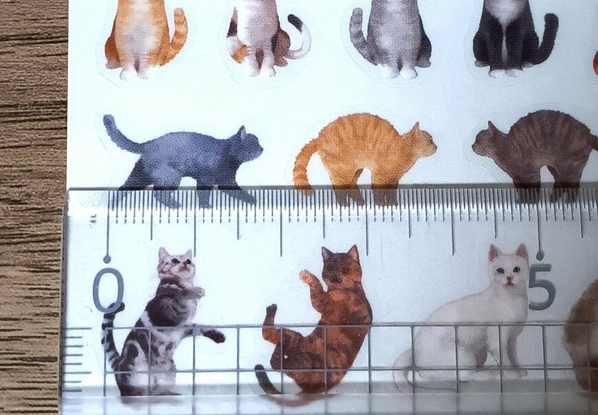 筆者撮影（セリア、フィルムダイカットシール ねこ柄 58片）