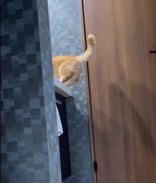 出所：@kotaro_0315