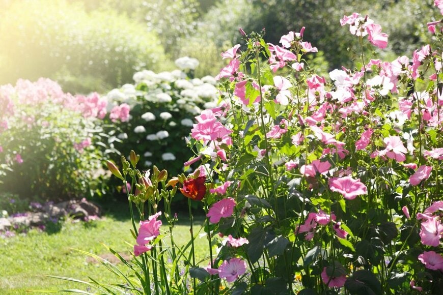 Pelevina Ksinia/shutterstock.com