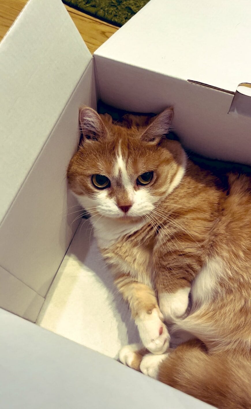 出所：@kotaro_0315