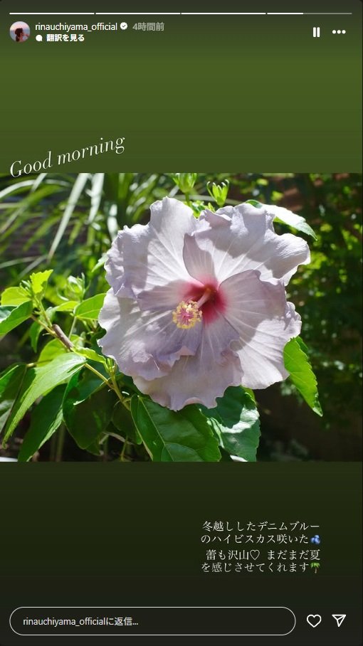 出所：内山理名のInstagramストーリーズ（＠rinauchiyama_official）参照日：2025年8月20日