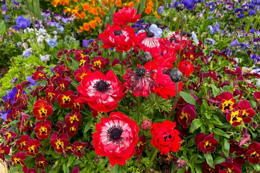 Lapa Smile/shutterstock.com