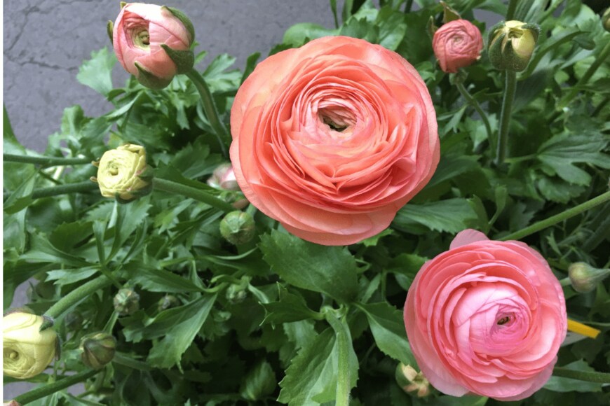 Lizzie Earl/istockphoo.com