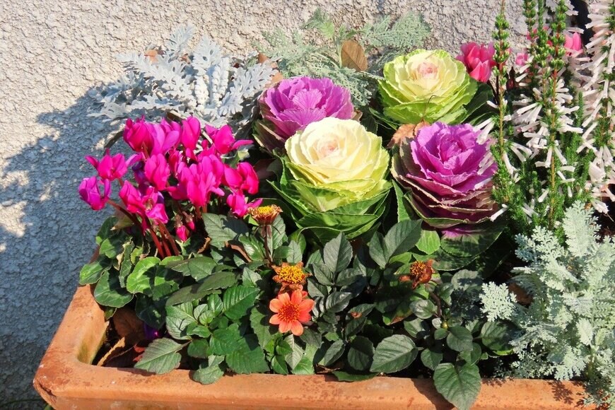 Chiemi Kumitani/istockphoto.com