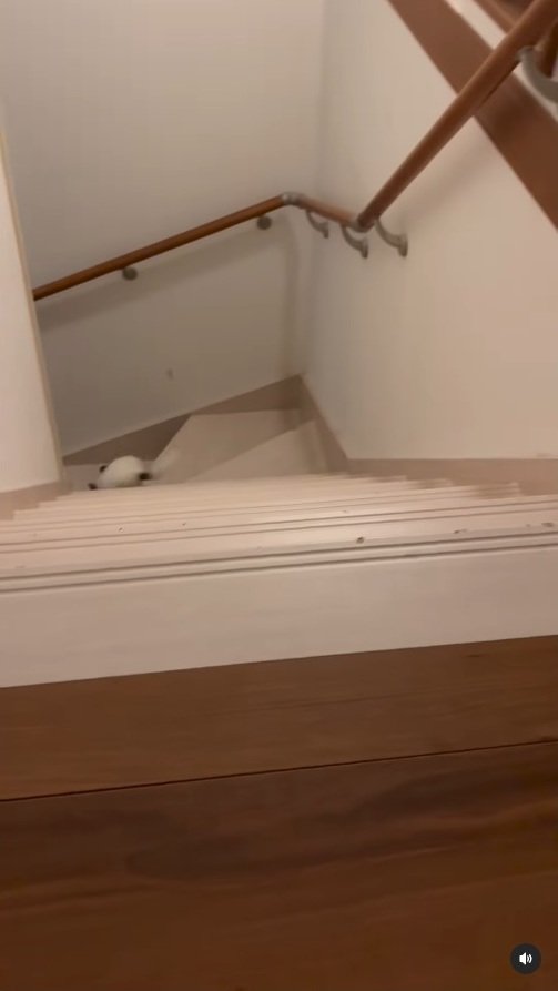 出所：＠ohagitopapa