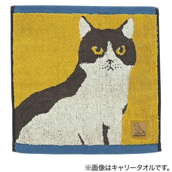出所：ニトリ公式通販ニトリネット キャリータオル＆スキニータオル 2点セット (白黒猫)