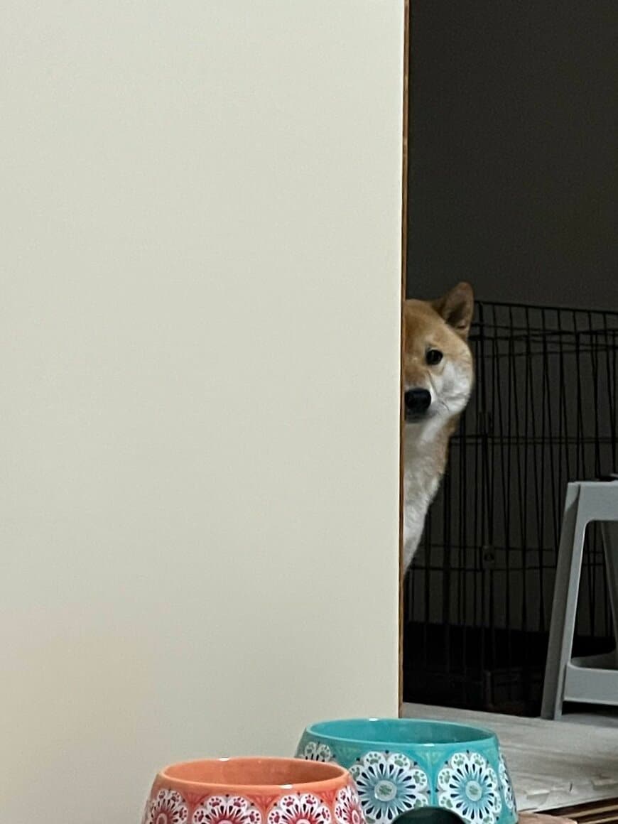 出所：@fufufufufu_ta