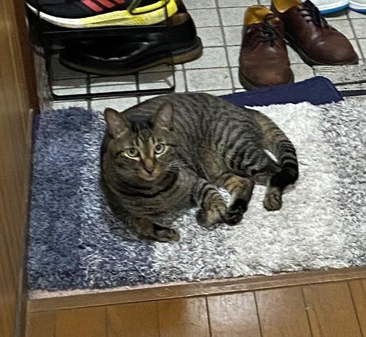 出所：@00shitemita