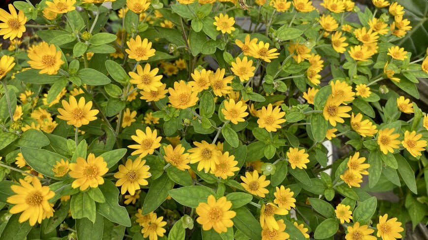 Hermawan/istockphoto.com