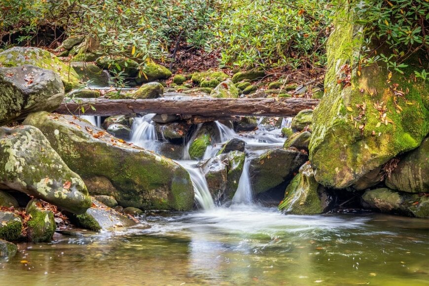 兵庫県の山中にある「沢の水質」に驚き　透明な水と「注意喚起看板」のギャップが話題に