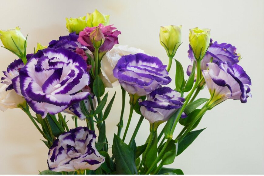 kinpouge05/istockphoto.com