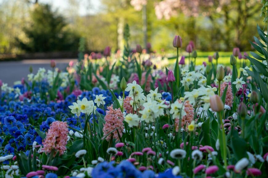 Wirestock Creators/shutterstock.com