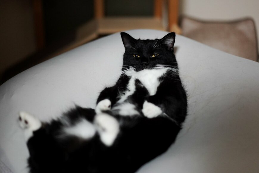 出所：＠unicouniuni3