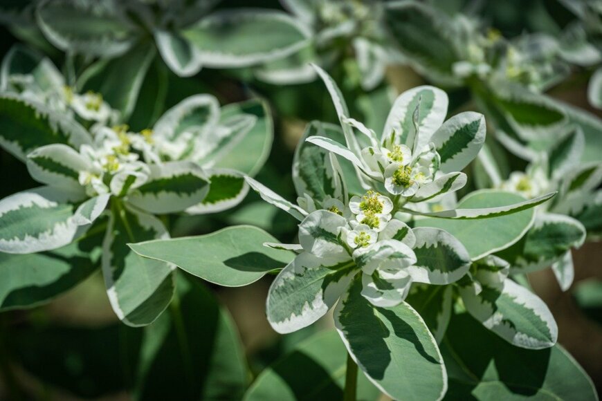 Marina Denisenko/istockphoto.com