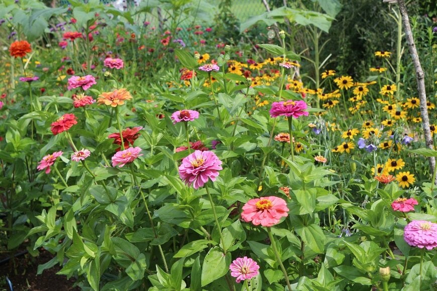 monzanita/shutterstock.com