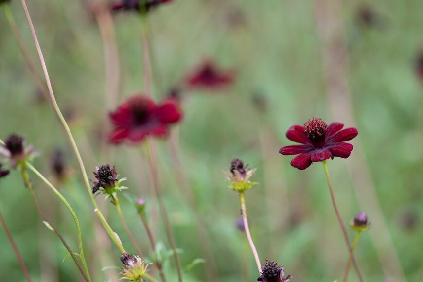 marinowifi/istockphoto.com