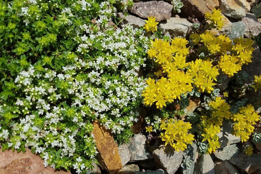 Manfred Ruckszio/shutterstock.com