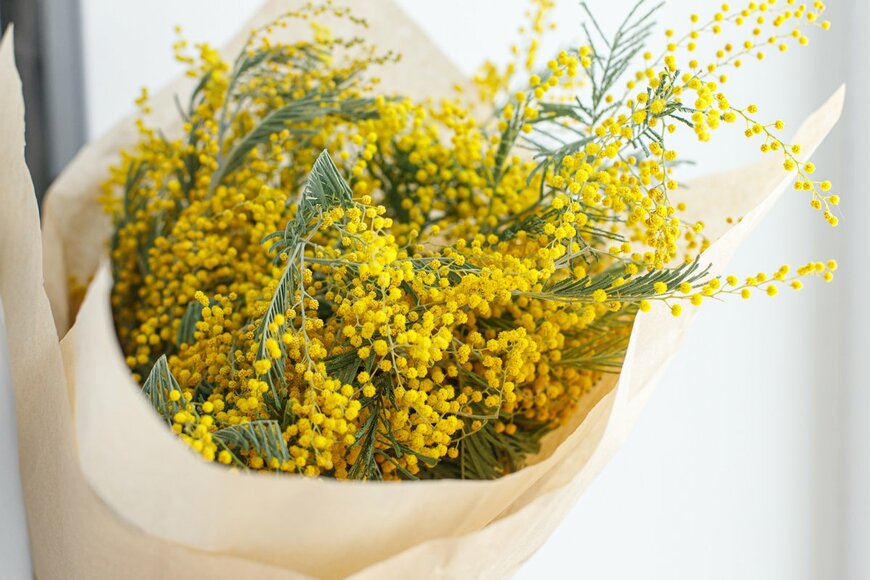 Bogdan Sonjachnyj/Shutterstock.com